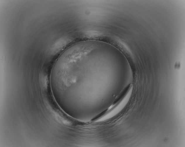 X0000092070644200709191204
