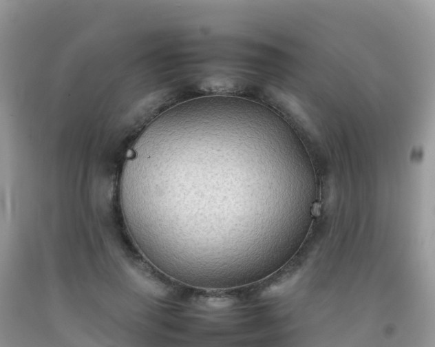 X0000092070645200709191204