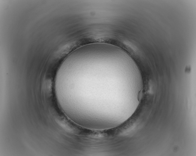 X0000092070646200709191204