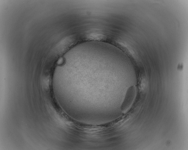 X0000092070647200709191204