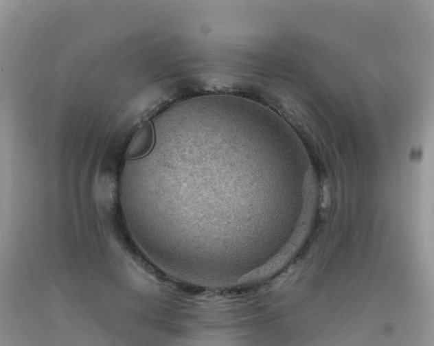 X0000092070648200709191204
