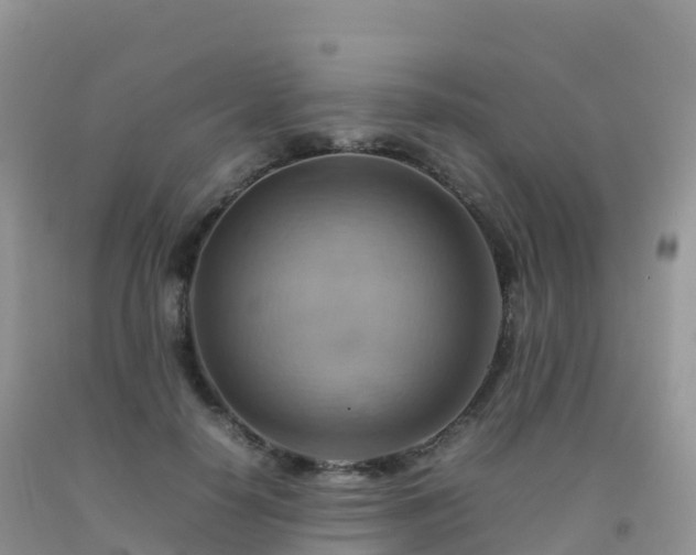 X0000092070650200709191204