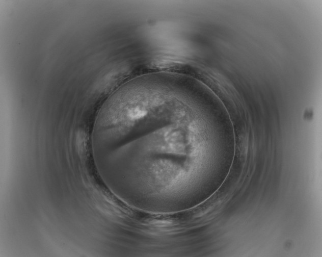 X0000092070653200709191204