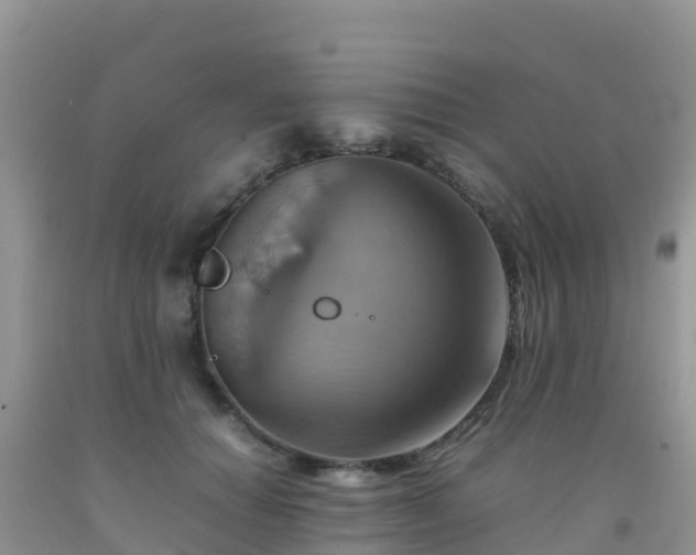 X0000092070654200709191204