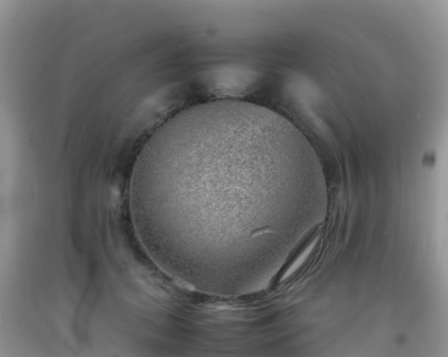 X0000092070655200709191204