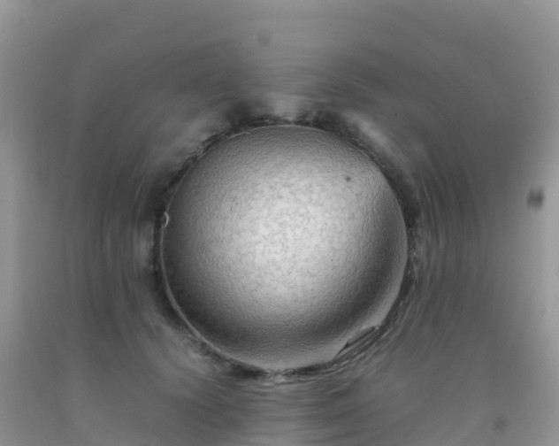 X0000092070656200709191204