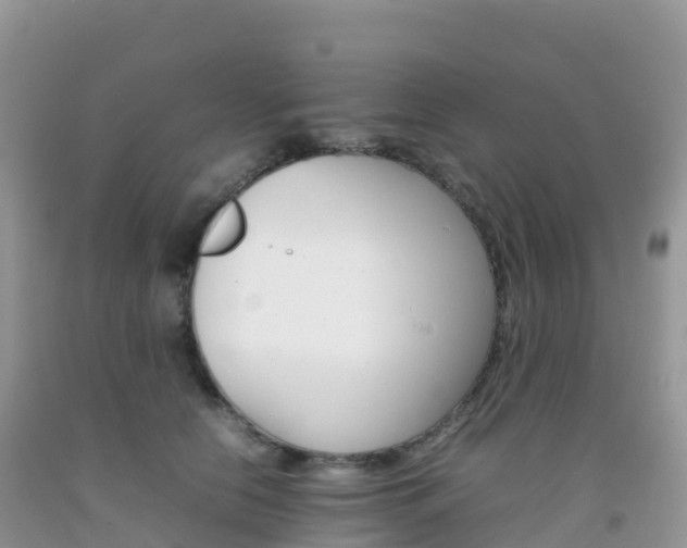 X0000092070658200709191204