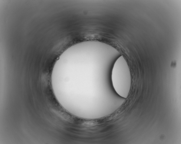 X0000092070659200709191204
