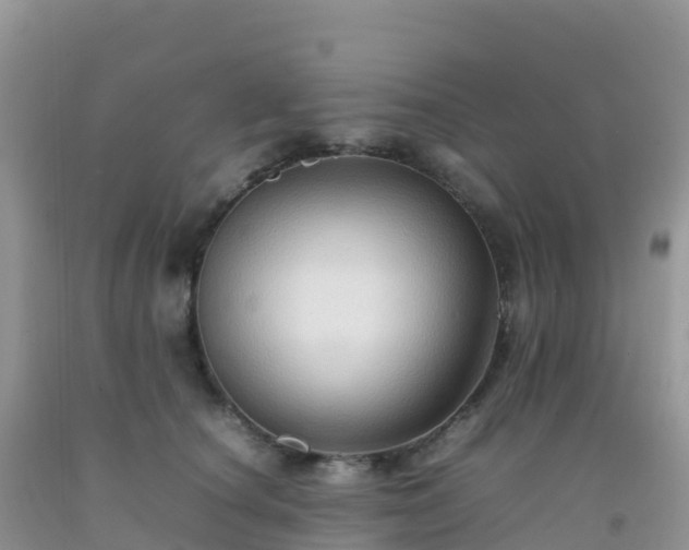 X0000092070660200709191204