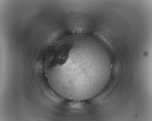 X0000092070661200709191204