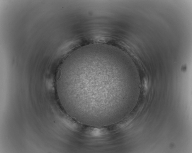 X0000092070663200709191204