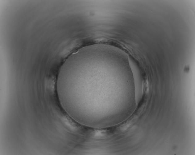 X0000092070664200709191204