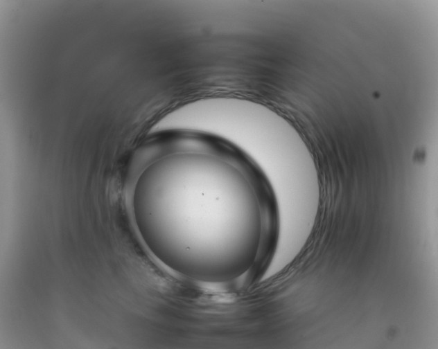 X0000092070665200709191204