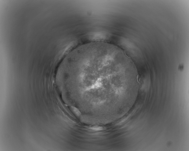 X0000092070669200709191205