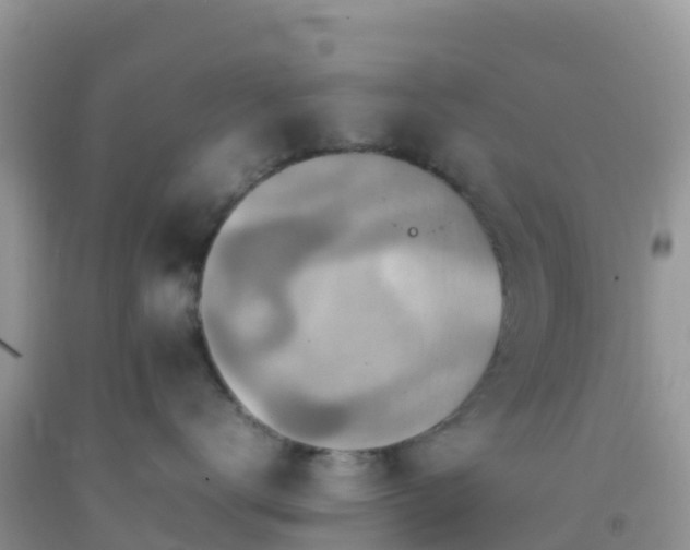 X0000092070672200709191205