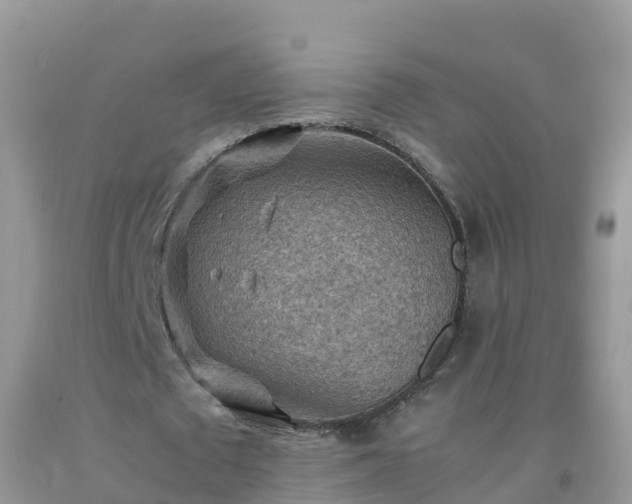 X0000092070673200709191204