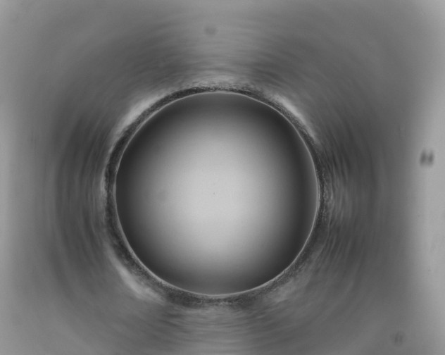X0000092070674200709191204