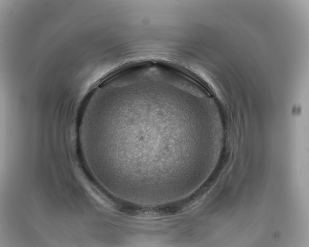 X0000092070677200709191204