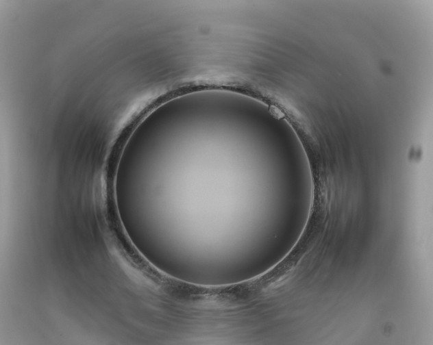 X0000092070678200709191204