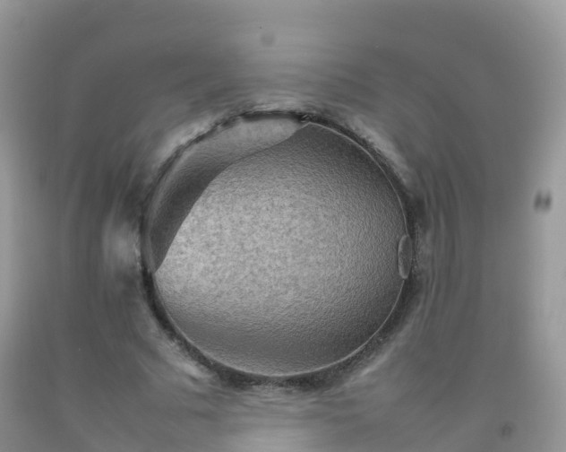 X0000092070681200709191204