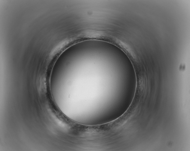 X0000092070682200709191204