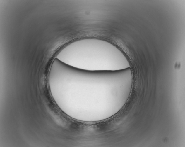 X0000092070683200709191204