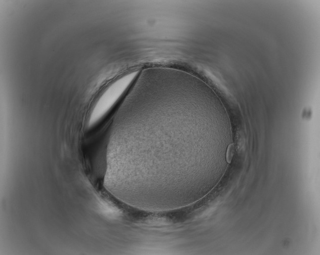 X0000092070685200709191204