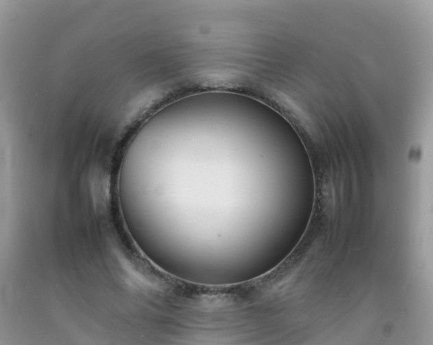 X0000092070686200709191204