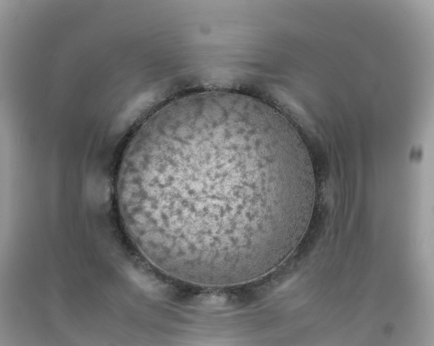 X0000092070687200709191204