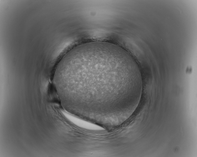 X0000092070689200709191204