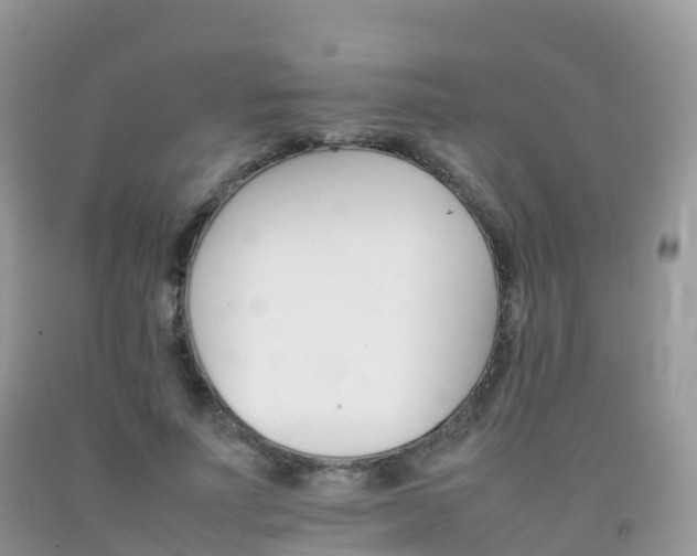 X0000092070691200709191204
