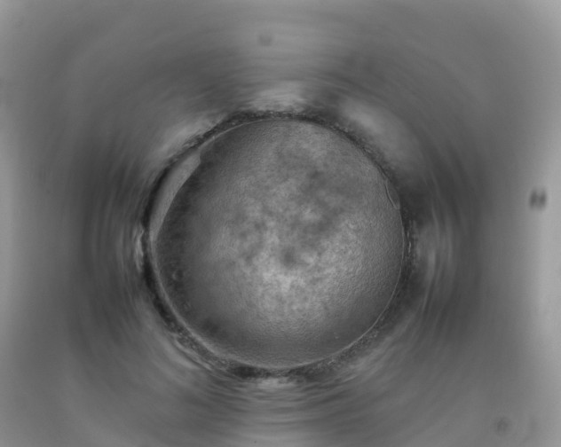 X0000092070692200709191204