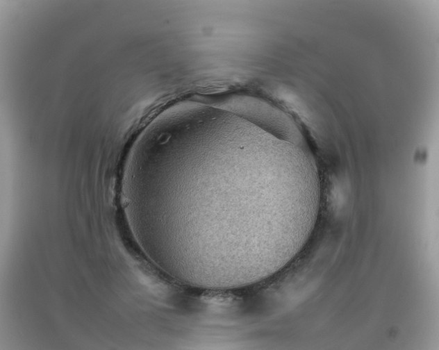 X0000092070693200709191204
