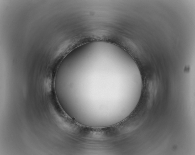 X0000092070694200709191204