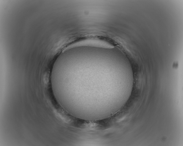 X0000092070695200709191204