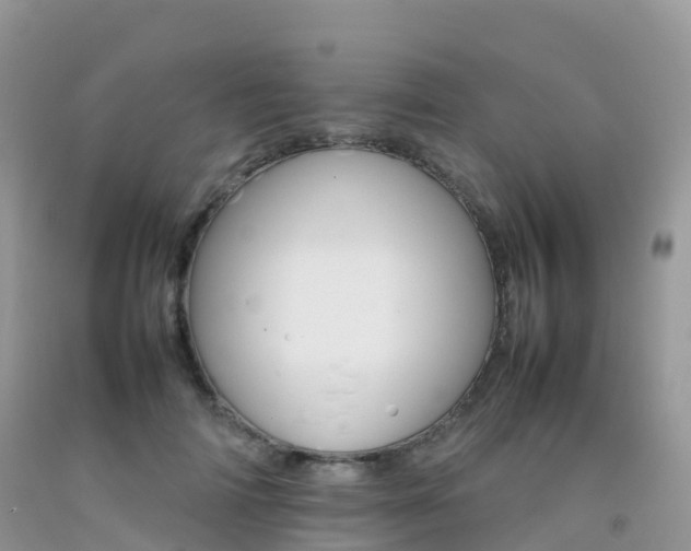 X0000092070698200709191203
