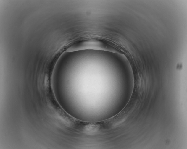 X0000092070700200709191203