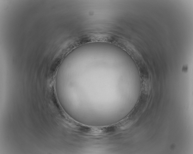 X0000092070701200709191203