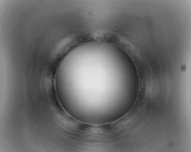 X0000092070702200709191203