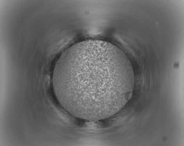 X0000092070703200709191203