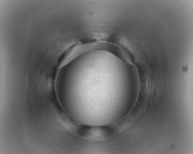 X0000092070704200709191203