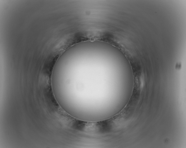 X0000092070705200709191203