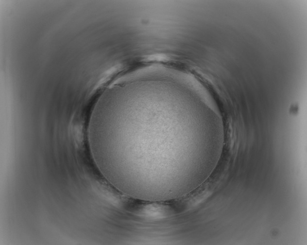 X0000092070708200709191203