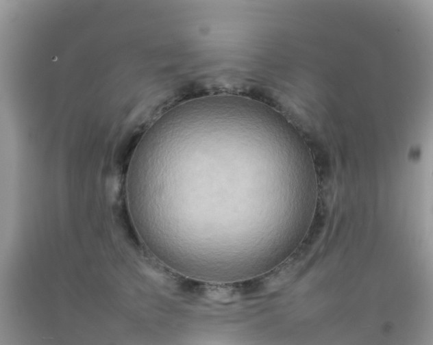 X0000092070709200709191203