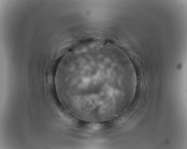 X0000092070711200709191203