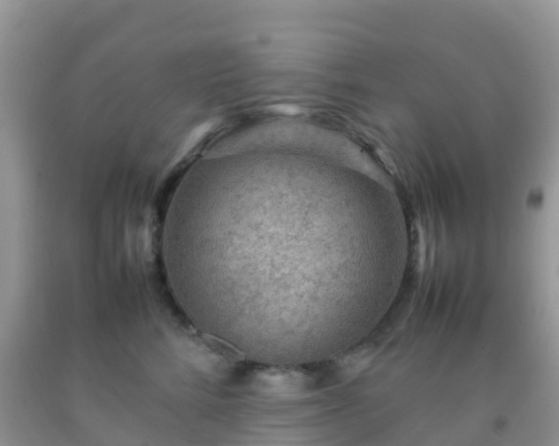 X0000092070712200709191203