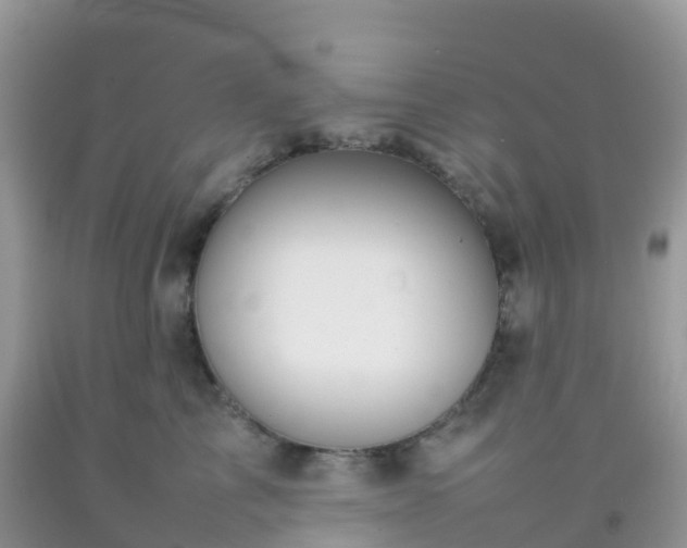 X0000092070713200709191203