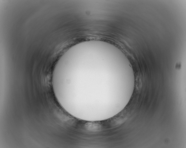 X0000092070714200709191203