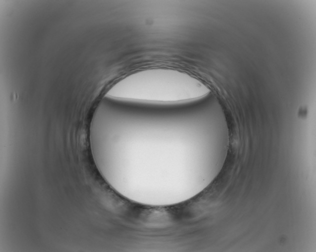 X0000092070715200709191203