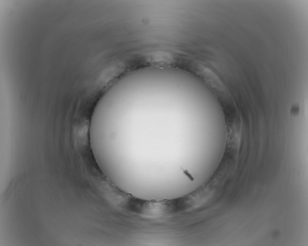 X0000092070717200709191203
